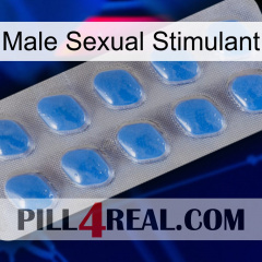 Male Sexual Stimulant 22